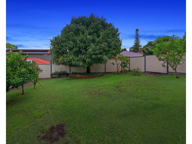 3 Parakeet Street, Birkdale QLD 4159