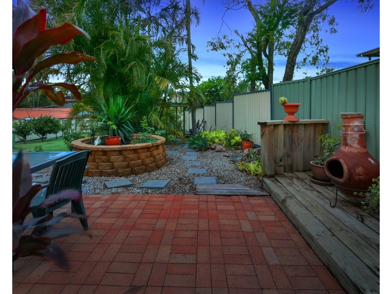 3 Parakeet Street, Birkdale QLD 4159