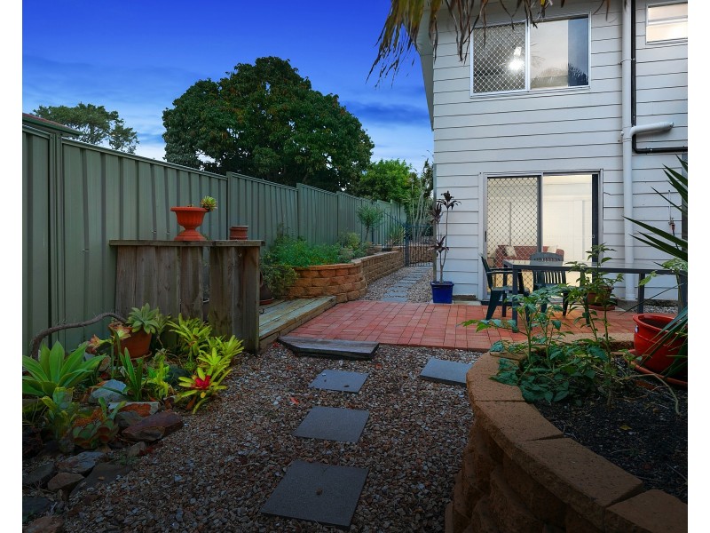 3 Parakeet Street, Birkdale QLD 4159