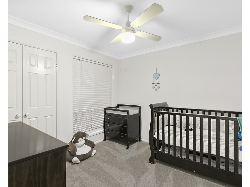 6 Johnston Avenue, Birkdale QLD 4159