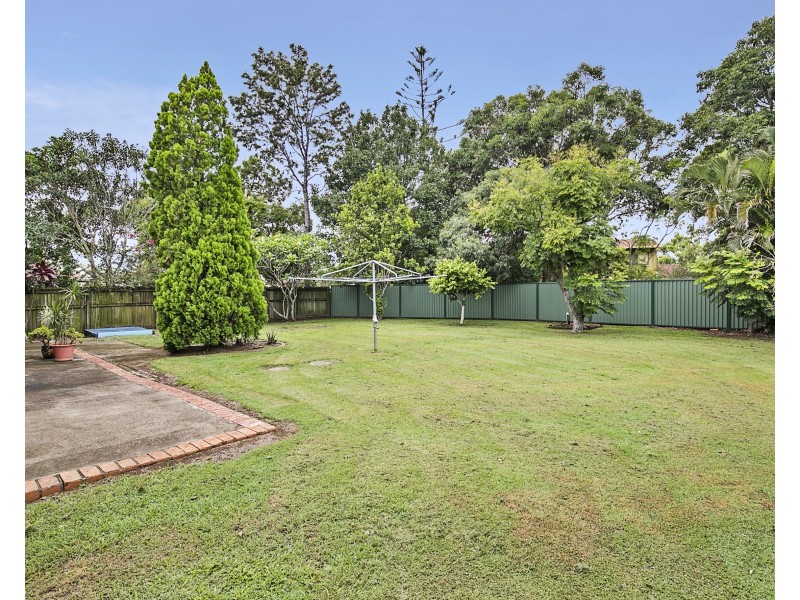 51 Alpinia Street, Alexandra Hills QLD 4161