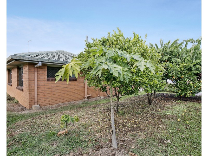 18 Tarcutta Street, Cleveland QLD 4163