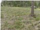 Capalaba QLD 4157