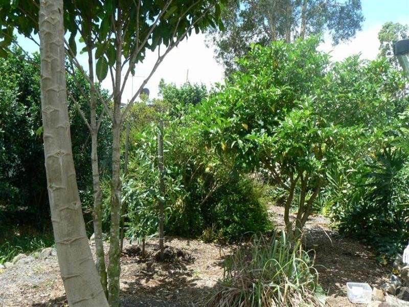 10 Rofail Court, Thorneside QLD 4158