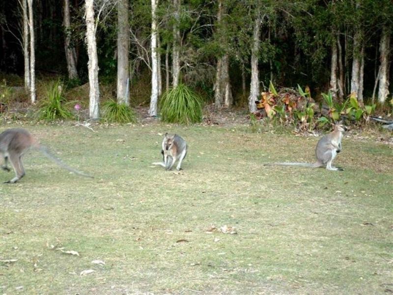 Mount Cotton QLD 4165