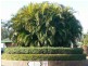 Thorneside QLD 4158
