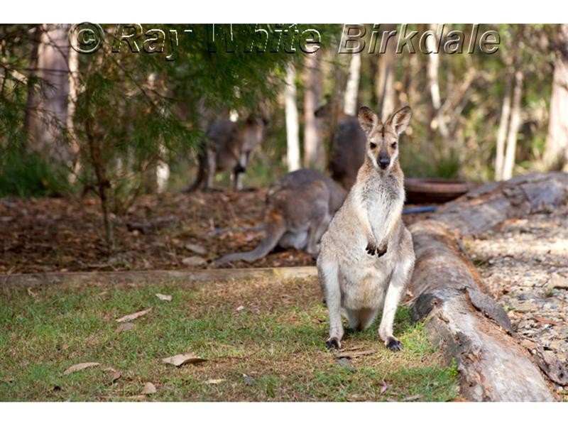 658 Ford Road, Burbank QLD 4156