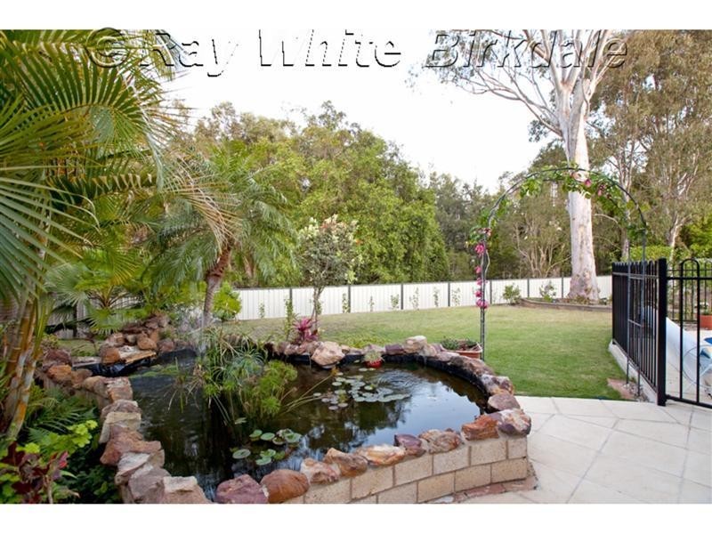 7 Cockateil Court, Thornlands QLD 4164