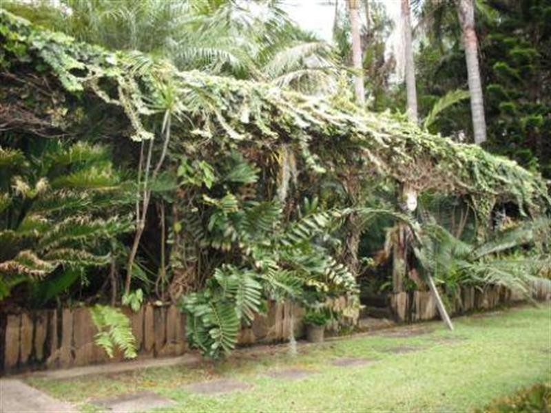 Alexandra Hills QLD 4161