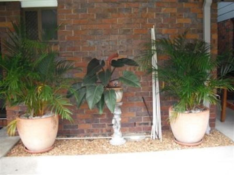 6 INGHAM Street, Capalaba QLD 4157