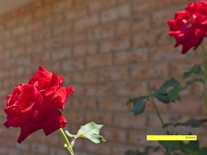 83 Winchester Road, Alexandra Hills QLD 4161