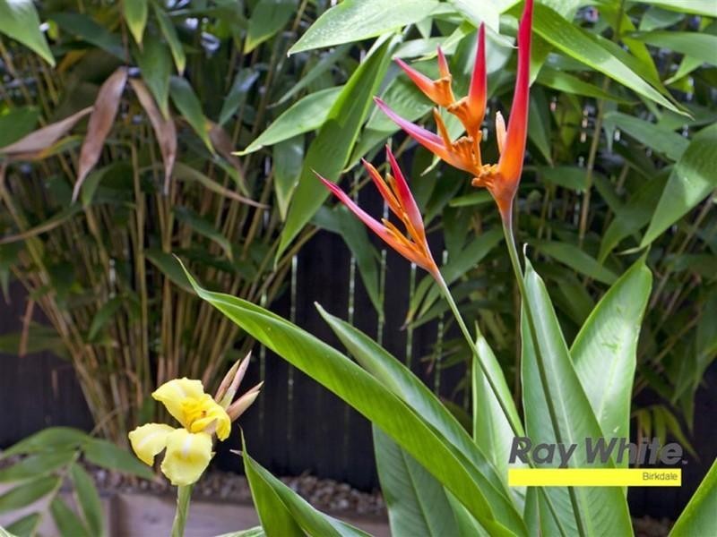 27 Surman Street, Birkdale QLD 4159