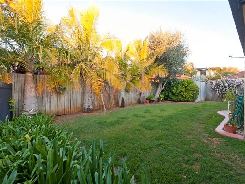 6 Marc Place, Cleveland QLD 4163