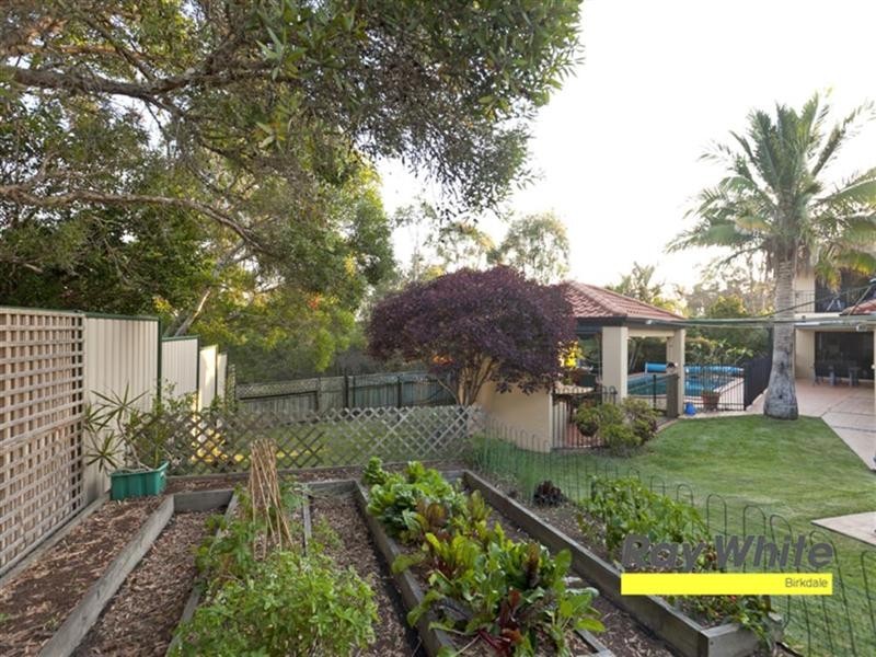 5 Benjamin Court, Cleveland QLD 4163