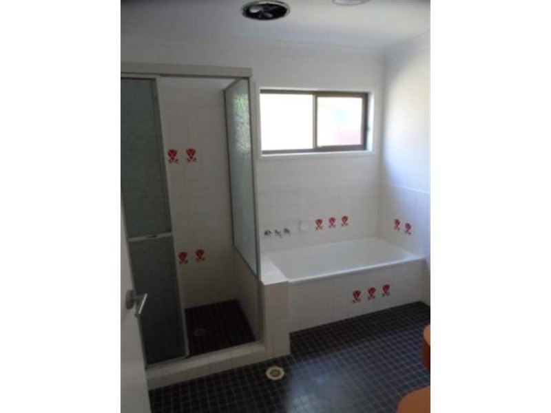 60 Spoonbill Street, Birkdale QLD 4159