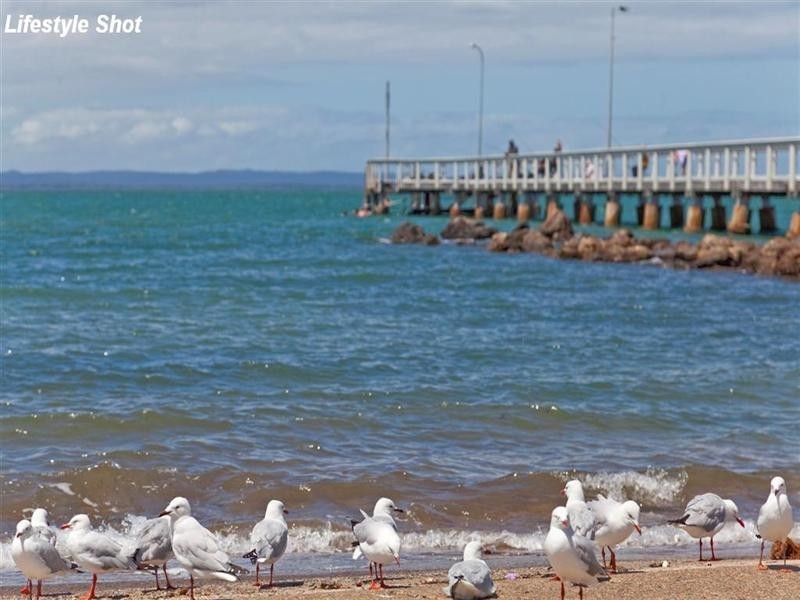 225 Main Road, Wellington Point QLD 4160