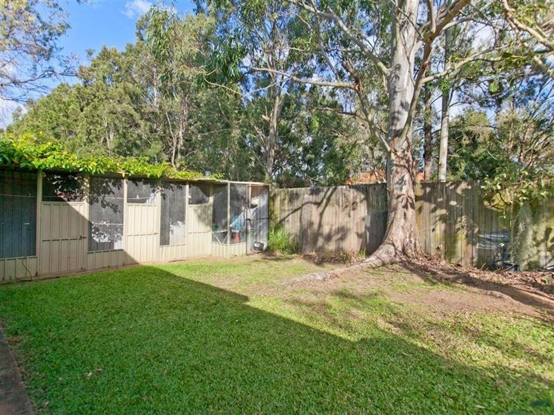 5 Bauhinia Street, Birkdale QLD 4159