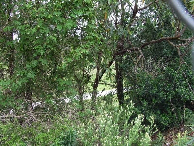 Waterford West QLD 4133