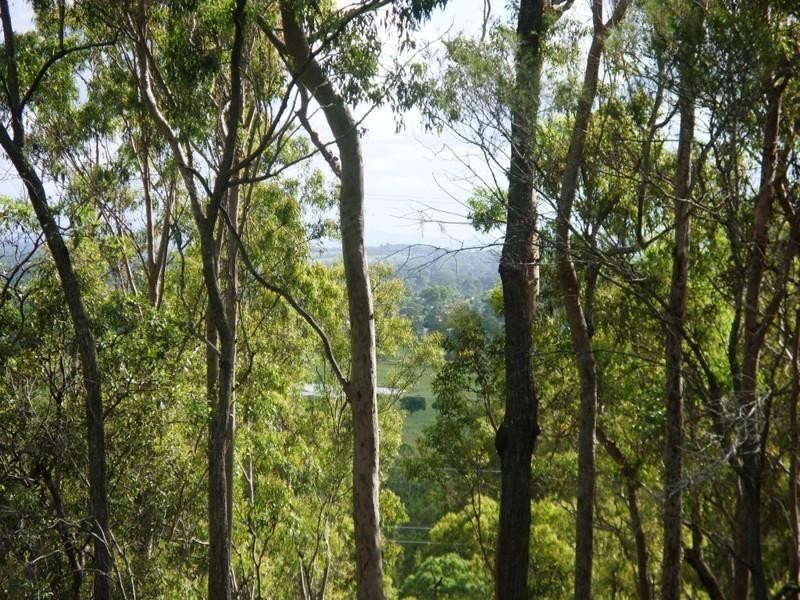 41 Tingi Avenue, Tanah Merah QLD 4128