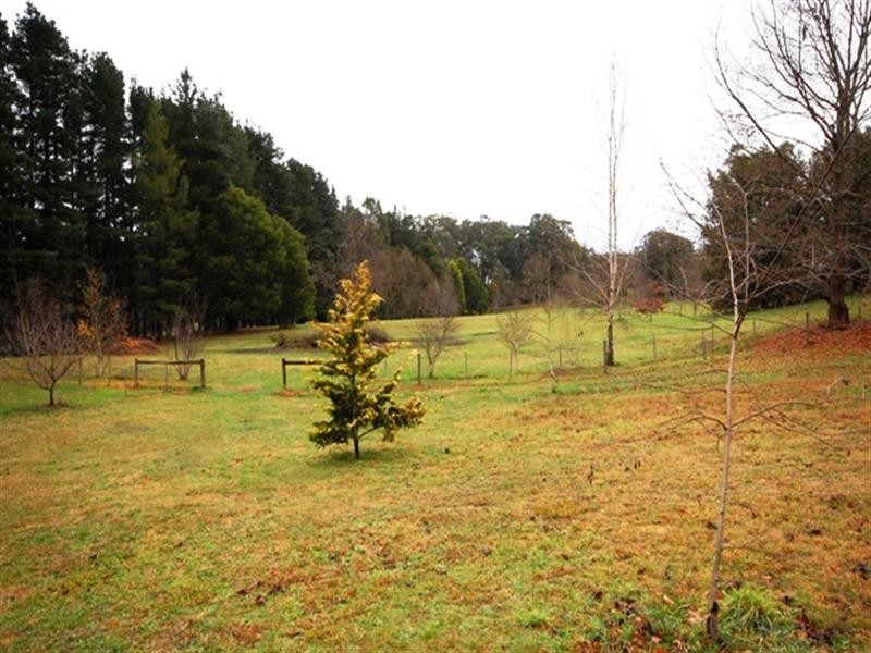 Hoddles Creek VIC 3139