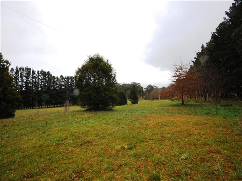 Hoddles Creek VIC 3139