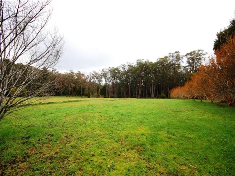 Hoddles Creek VIC 3139