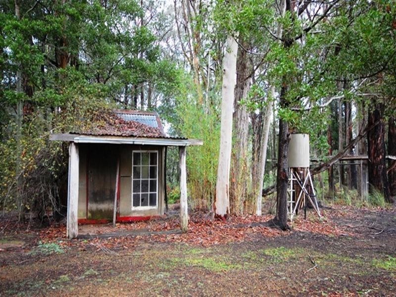 Hoddles Creek VIC 3139