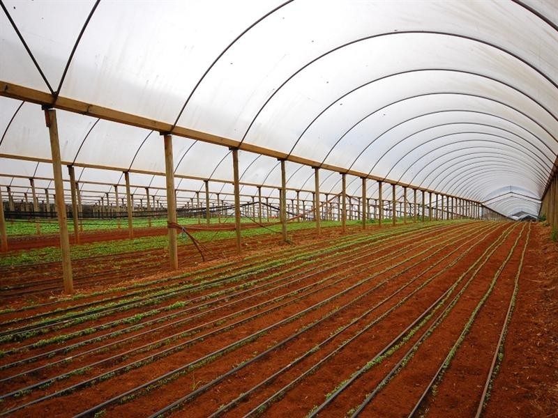 30 Bamfield Road, Mount Evelyn VIC 3796