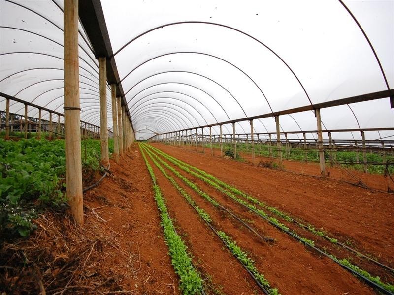 30 Bamfield Road, Mount Evelyn VIC 3796