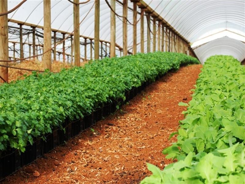 30 Bamfield Road, Mount Evelyn VIC 3796