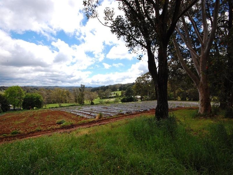 10 Lewis Road, Wandin North VIC 3139