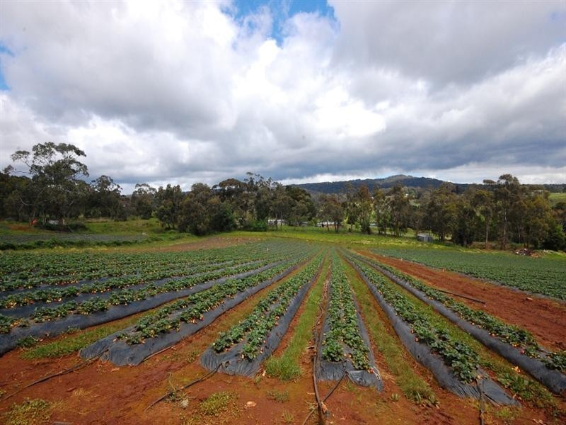 10 Lewis Road, Wandin North VIC 3139