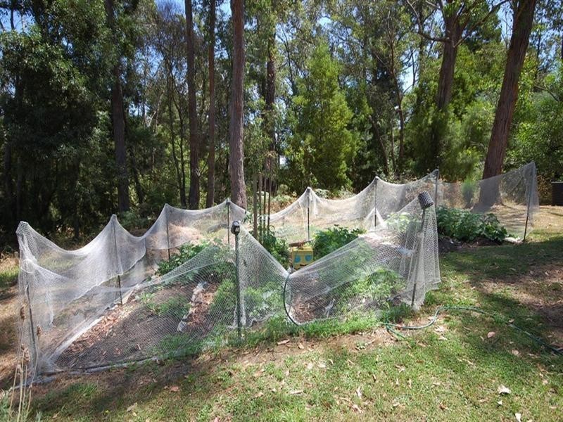 7 Priestley Crescent, Mount Evelyn VIC 3796