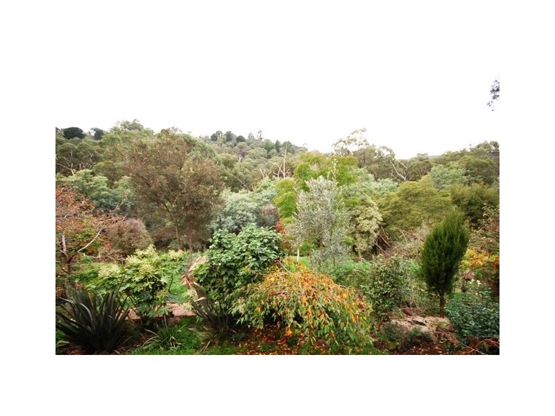 85 Quinn Crescent, Mount Evelyn VIC 3796