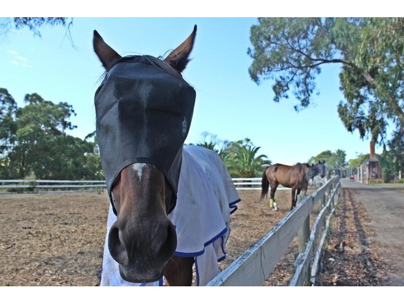 Wandin East VIC 3139