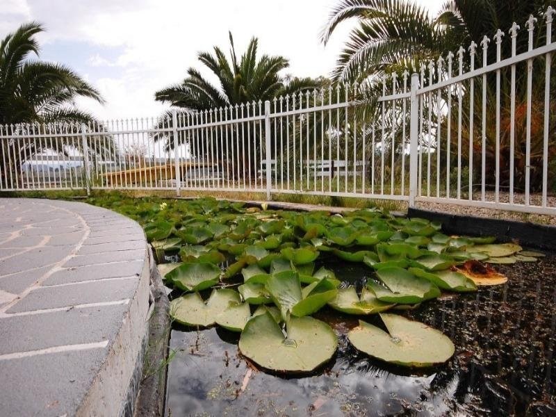 Wandin East VIC 3139