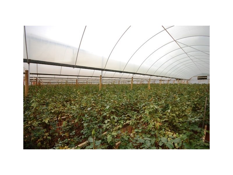 15 Bamfield Road, Mount Evelyn VIC 3796