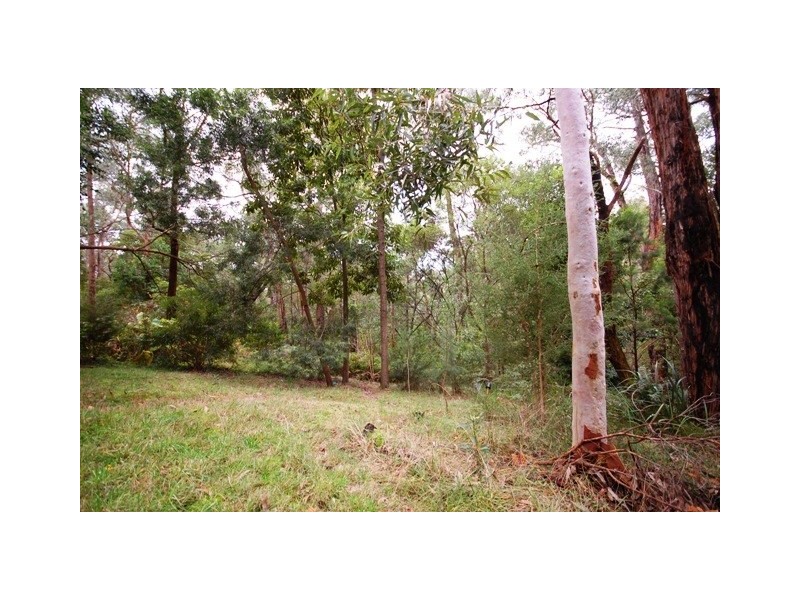 8 Sycamore Grove, Mount Evelyn VIC 3796