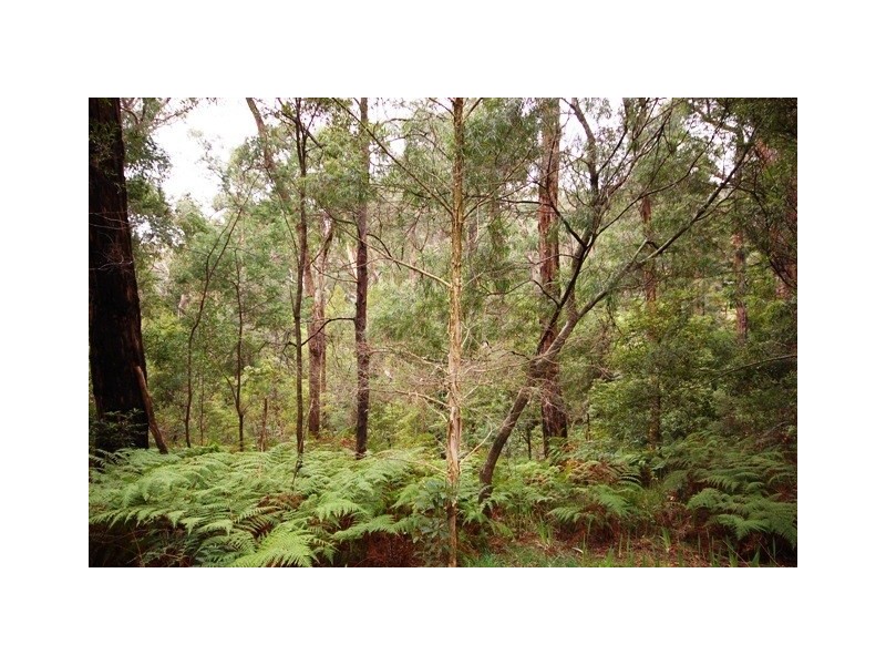 8 Sycamore Grove, Mount Evelyn VIC 3796