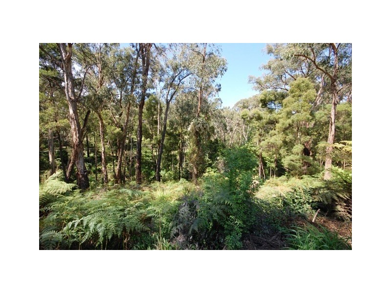 132 Quinn Crescent, Mount Evelyn VIC 3796