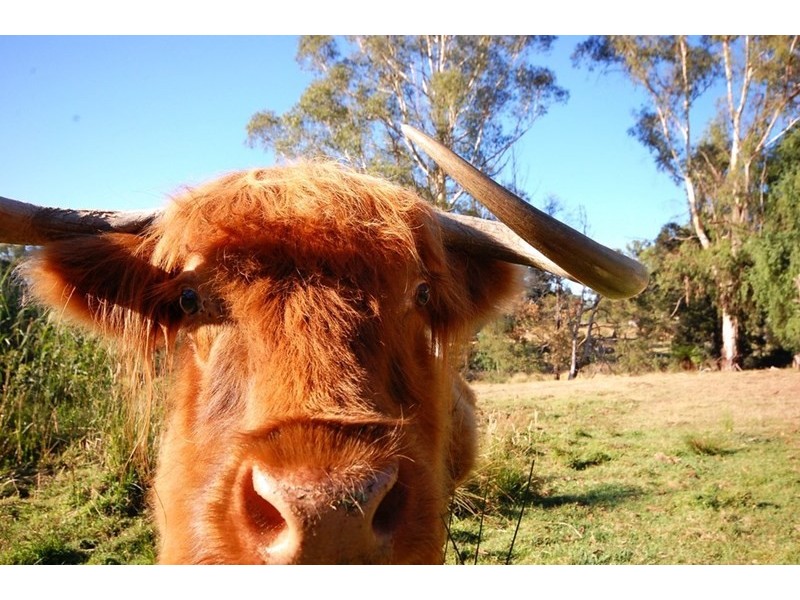 2 Charteris Road, Wandin East VIC 3139