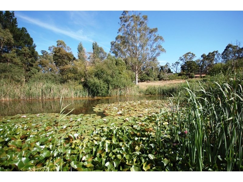 2 Charteris Road, Wandin East VIC 3139