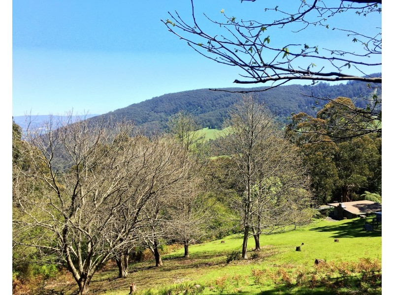 18-19 Hillcrest Road, Don Valley VIC 3139