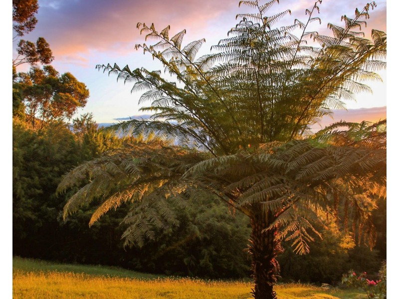 18-19 Hillcrest Road, Don Valley VIC 3139