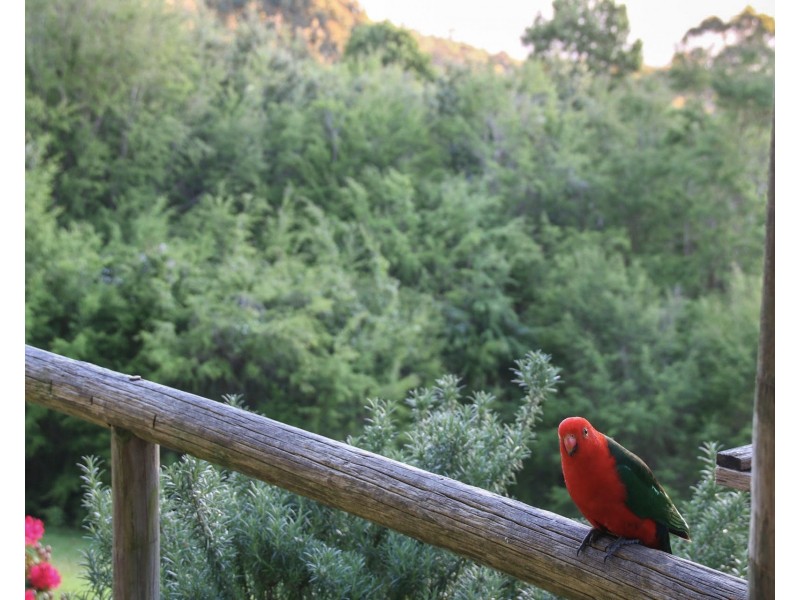 18-19 Hillcrest Road, Don Valley VIC 3139