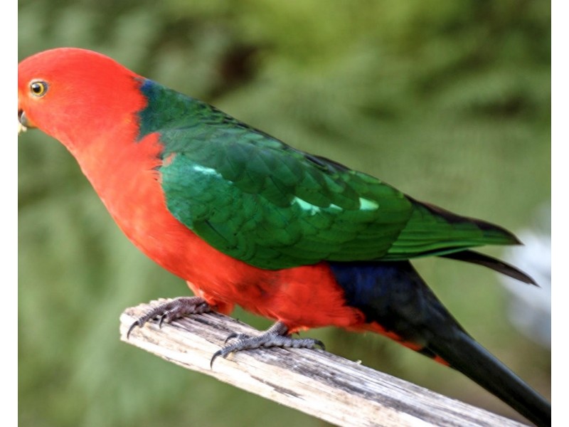 18-19 Hillcrest Road, Don Valley VIC 3139