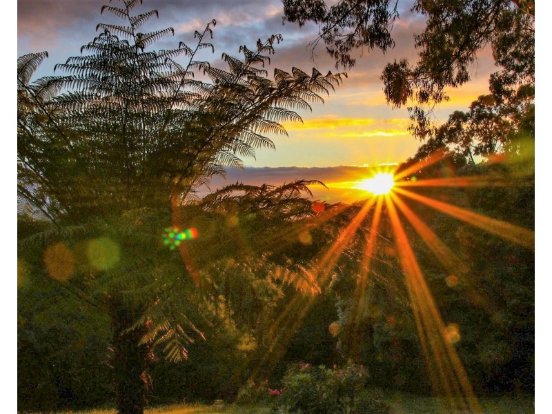 18-19 Hillcrest Road, Don Valley VIC 3139