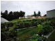 Wandin North VIC 3139