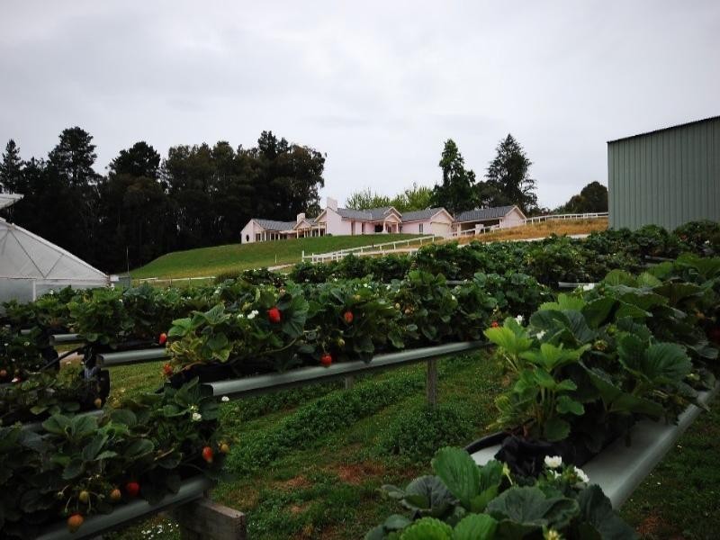 Wandin North VIC 3139