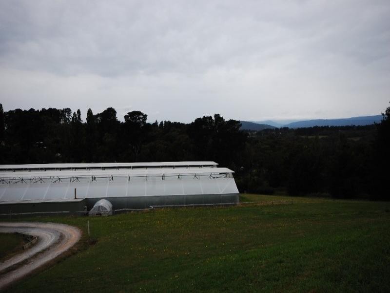 Wandin North VIC 3139